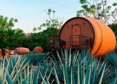 24 de julio: Día Internacional del Tequila