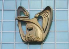 ¿Qué enfermedades no cubre el IMSS en México?