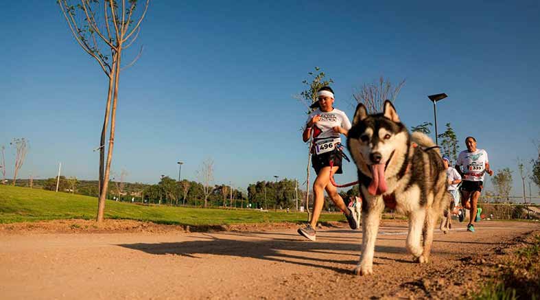 Carrera Canina