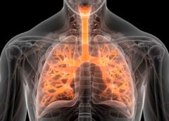 EPOC el impacto del uso de leña en zonas rurales