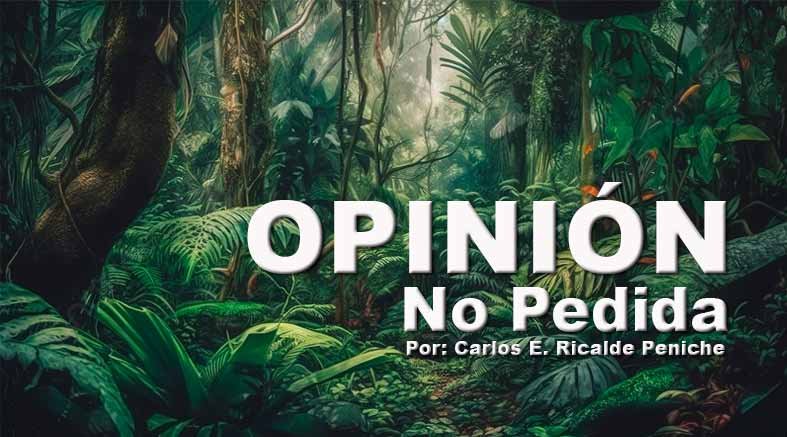 El Adulto Mayor y la Tecnología Celular