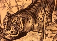 La historia de los cobertores San Marcos