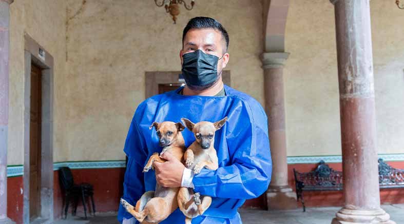 Esteriliza