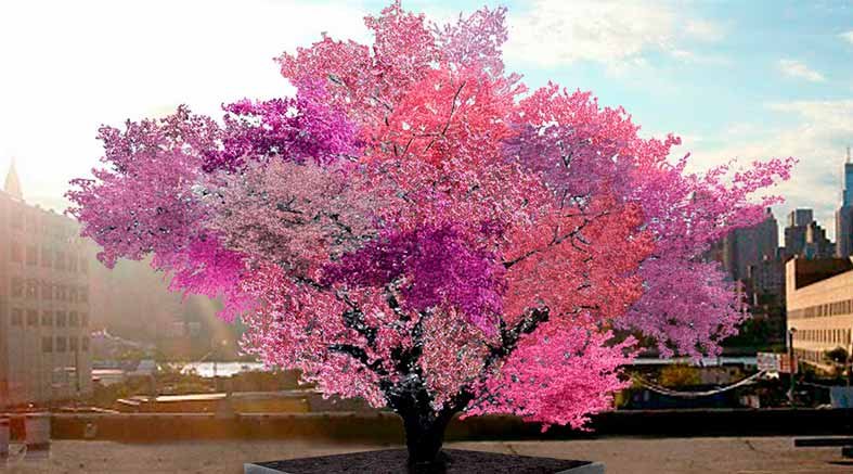 árbol Frankenstein