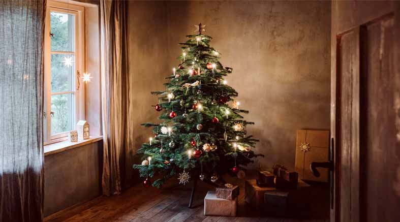 La historia del árbol de Navidad