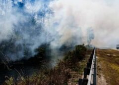 Incendio de más de 10 mil hectáreas se expande en los Everglades, Florida