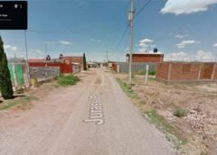 ‘Jurassi Park’: Calle en Chihuahua que se volvió viral