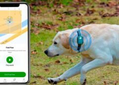 PetPhone para mascotas sorprende al mundo
