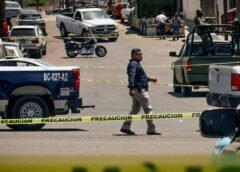 Sheinbaum: trabajamos para mejorar la percepción de seguridad