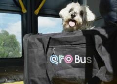 Anuncian jornada de afiliación de mascotas al programa PetFriendly