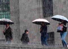 Sácale provecho a la temporada de lluvias