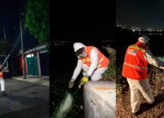 Refuerzan acciones contra mosquitos en Querétaro 2000 y zonas aledañas