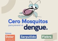 Monitorea SESA la situación epidemiológica del dengue en la entidad
