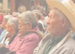 “Adultos mayores ¿un partido para ellos?”