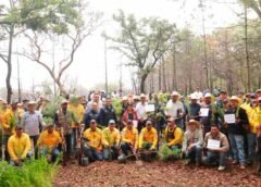 SEDEA inicia temporada de reforestación en el estado