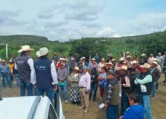 SEDEA entrega semilla forrajera en municipios del semidesierto