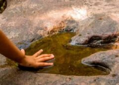 Identifican en Tanzania una especie de dinosaurio de 240 millones de años