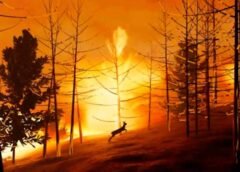 Los Ángeles se prepara para un fenómeno “El Niño” sin precedentes