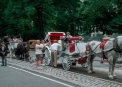 Nueva York se encamina a prohibir los carruajes a partir de 2028