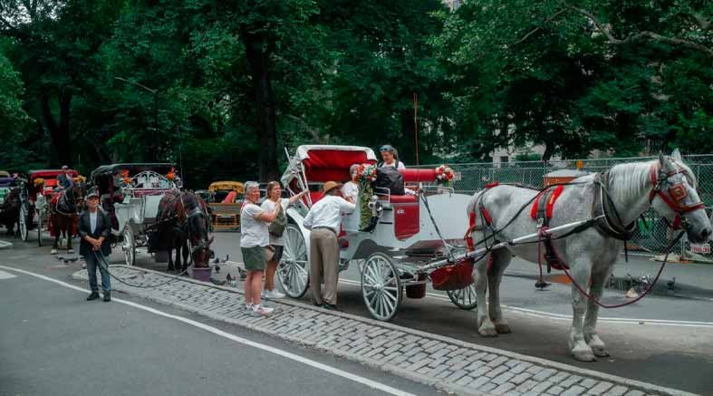 Nueva York